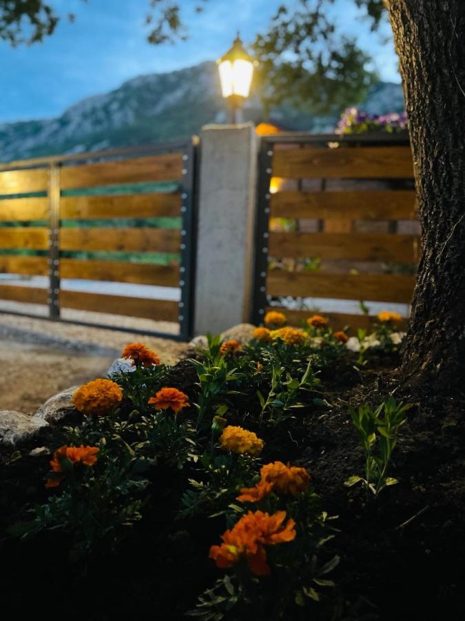 Guest House Mare بار المظهر الخارجي الصورة